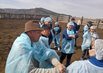 Сегодня на базе СПоК «Фреза» Мухоршибирского района для 14 фермеров республики прошел обучающий курс «Техник-осеменатор».